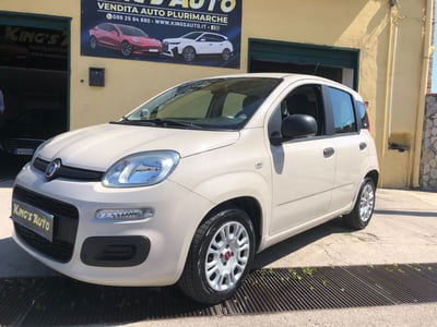 Fiat Panda 1.2 Easy usata
