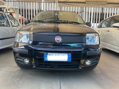 Fiat Panda 1.2 EasyPower Easy usata