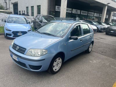 Fiat Punto 1.2 5 porte Active Natural Power usata