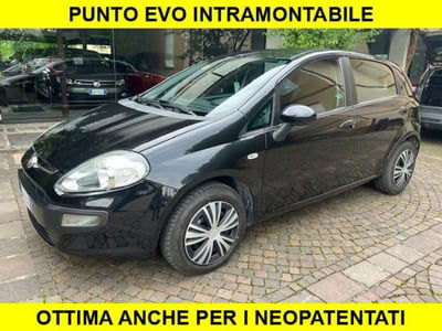 Fiat Punto Evo 1.3 Mjt 75 CV 5 porte Active usata