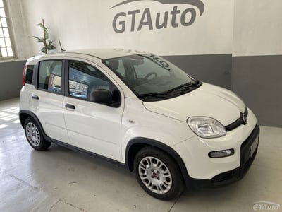 Fiat Panda 1.2 EasyPower usata