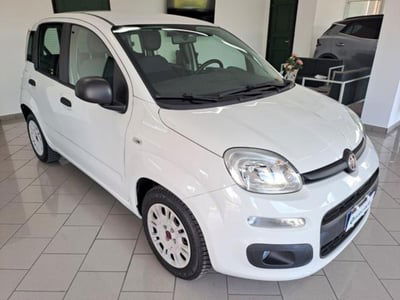 Fiat Panda 1.3 MJT 95 CV S&S Easy usata