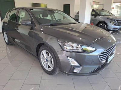 Ford Focus 1.5 EcoBlue 120 CV 5p. Business usata