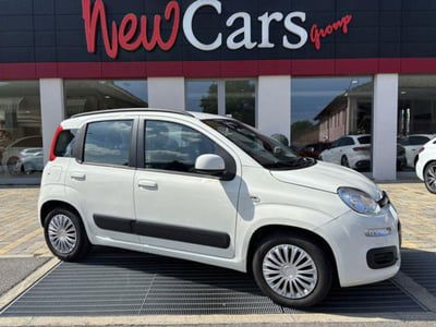 Fiat Panda 1.2 Easy usata