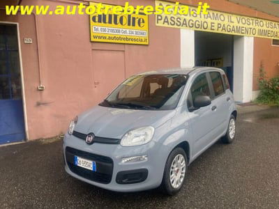 Fiat Panda 1.2 Easy Van 4 posti usata