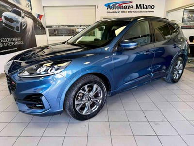 Ford Kuga 2.0 EcoBlue Hybrid 150 CV 2WD ST-Line X usata