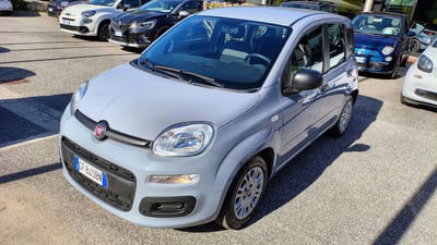 Fiat Panda Cross Cross 1.0 FireFly S&S Hybrid usata
