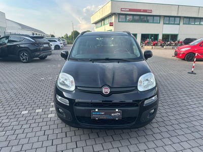 Fiat Panda 1.2 Lounge usata