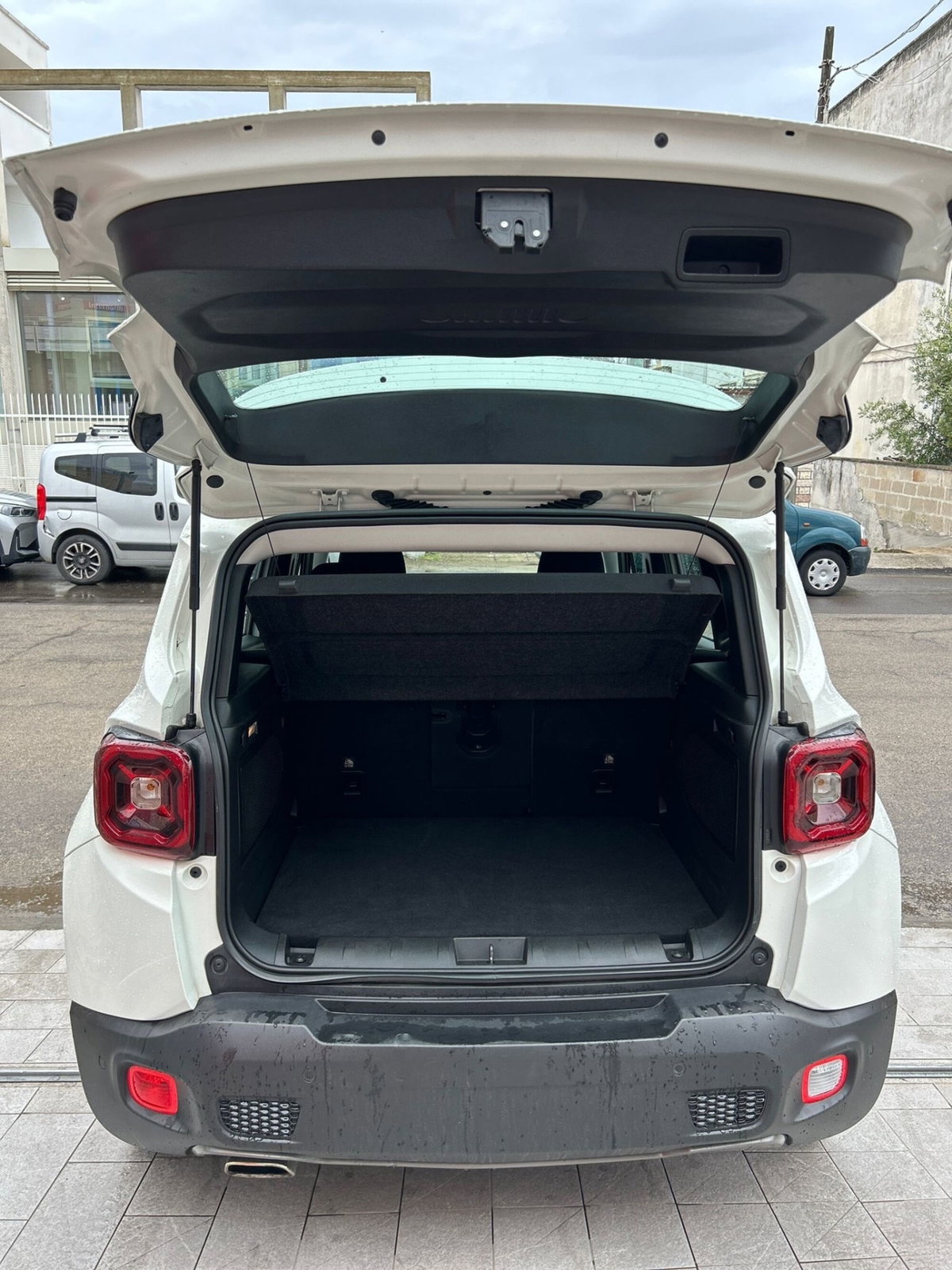 Jeep Renegade 1.6 Mjt 120 CV Limited (13)