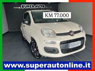 Fiat Panda 1.2 Easy usata