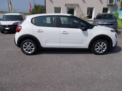 Citroen C3 BlueHDi 100 S&S Van Feel (5)