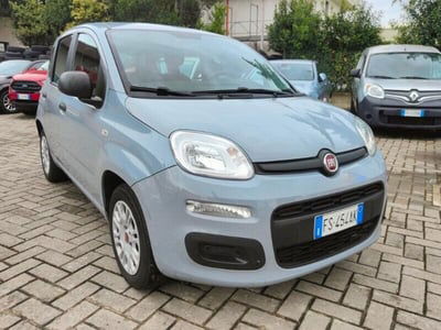 Fiat Panda 1.2 Easy usata