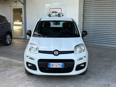 Fiat Panda 1.2 Easy usata