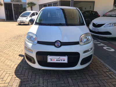 Fiat Panda 1.2 Easy usata