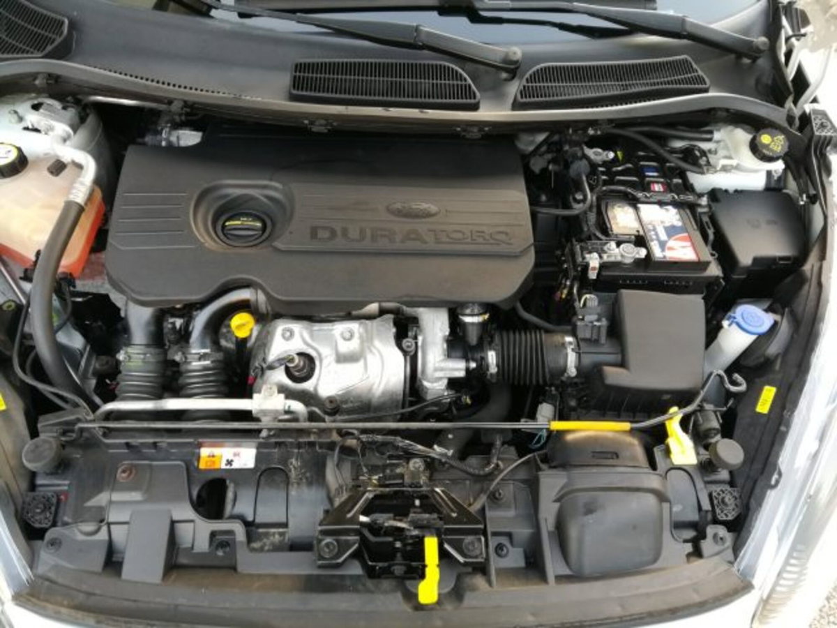 Ford Fiesta Plus 1.5 TDCi 75CV 5 porte (16)