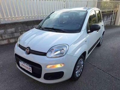 Fiat Panda 1.2 Easy usata