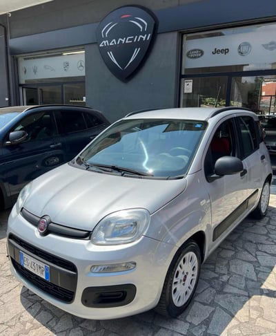 Fiat Panda 1.2 Easy usata