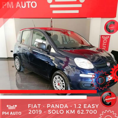 Fiat Panda 1.2 Easy usata