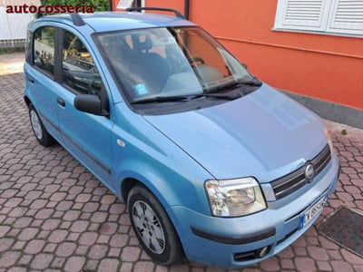 Fiat Panda 1.2 4x4 usata