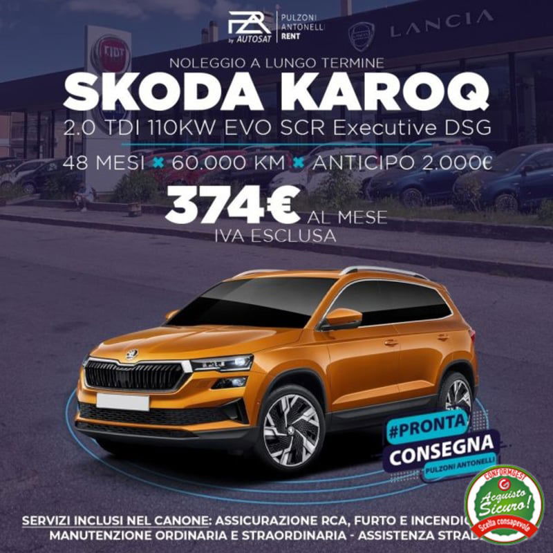 Skoda Karoq 2.0 TDI EVO SCR 115 CV DSG Executive