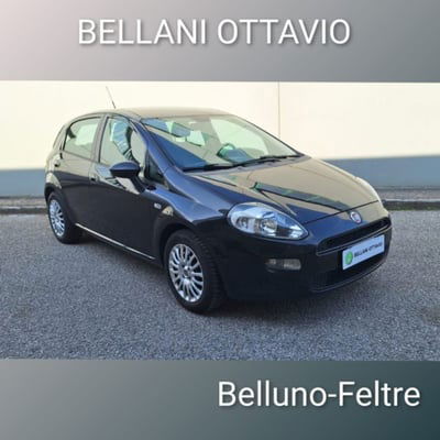 Fiat Punto 1.3 MJT II 75 CV 5 porte Easy usata