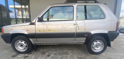 Fiat Panda 1100 i.e. cat 4x4 Trekking usata