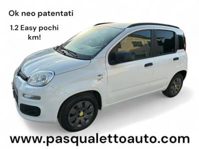 Fiat Panda 1.2 Easy usata