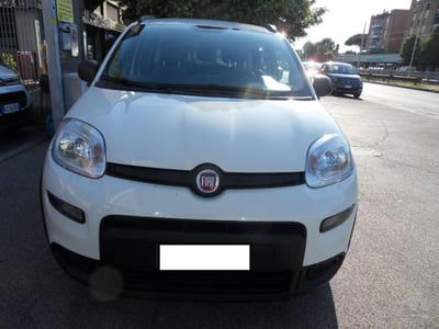 Fiat Panda 1.0 FireFly S&S Hybrid usata