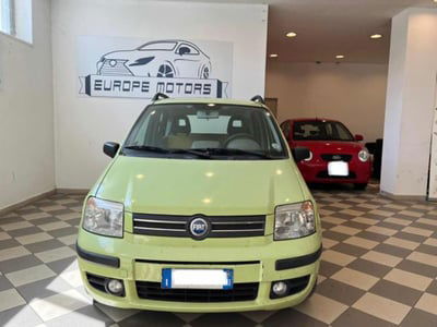 Fiat Panda 1.2 Dynamic GPL usata