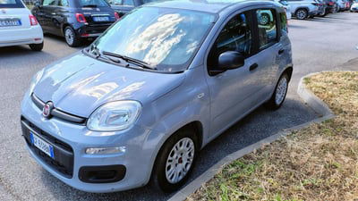 Fiat Panda 1.0 FireFly S&S Hybrid City Cross usata