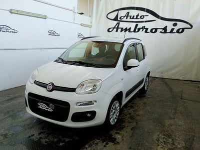 Fiat Panda 1.2 Lounge usata