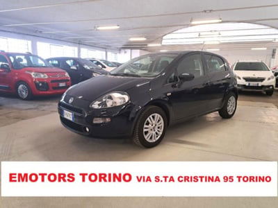 Fiat Punto 1.2 8V 5 porte Street usata