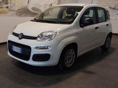 Fiat Panda 1.0 FireFly S&S Hybrid usata