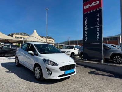 Ford Fiesta Plus 1.5 TDCi 75CV 5 porte usata