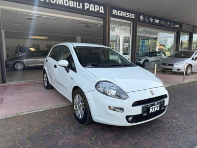 Fiat Punto 1.3 MJT II S&S 85 CV 5 porte ECO Easy usata