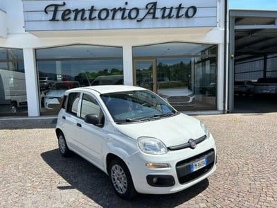 Fiat Panda 1.3 MJT 4x4 Pop Van 2 posti usata