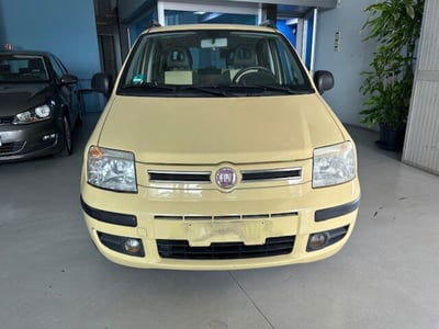 Fiat Panda 1.2 Dynamic usata