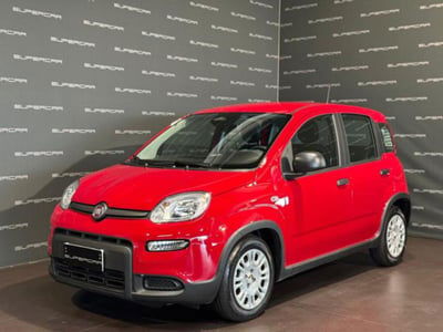 Fiat Panda 1.0 firefly hybrid s&s 70cv 5p.ti usata