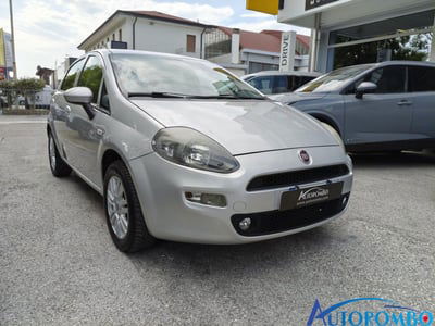 Fiat Punto 1.2 8V 5 porte Lounge usata