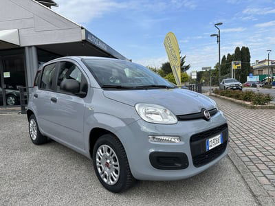 Fiat Panda 1.2 Easy usata