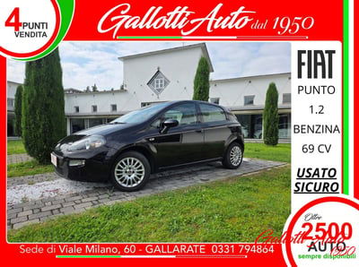 Fiat Punto 1.2 8V 5 porte Lounge usata