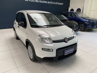 Fiat Panda Cross Cross 1.0 FireFly S&S Hybrid nuova