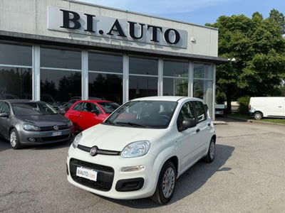 Fiat Panda 1.2 EasyPower City Life usata
