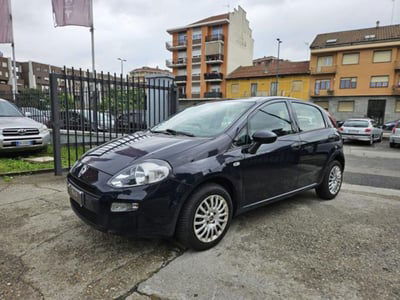 Fiat Punto 1.2 8V 5 porte Street usata