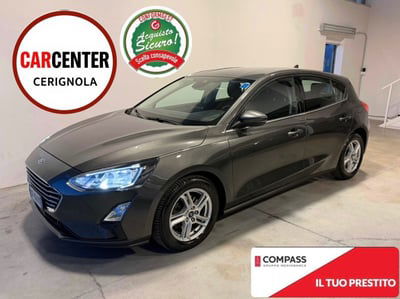 Ford Focus 1.5 EcoBlue 120 CV automatico 5p. Business Co-Pilot usata