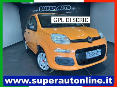 Fiat Panda 1.2 EasyPower Easy usata