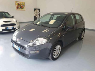 Fiat Punto 1.3 MJT II 75 CV 5 porte Easy usata