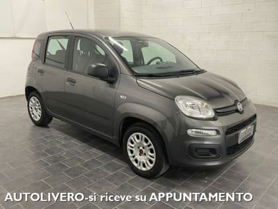 Fiat Panda 1.2 Pop usata