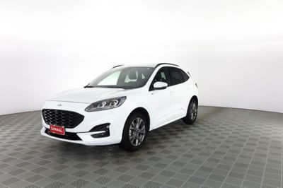 Ford Kuga 2.0 EcoBlue 120CV aut. AWD ST-Line X usata