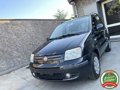 Fiat Panda 1.2 Dynamic usata